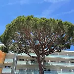 Le Capri - Wifi Californie *