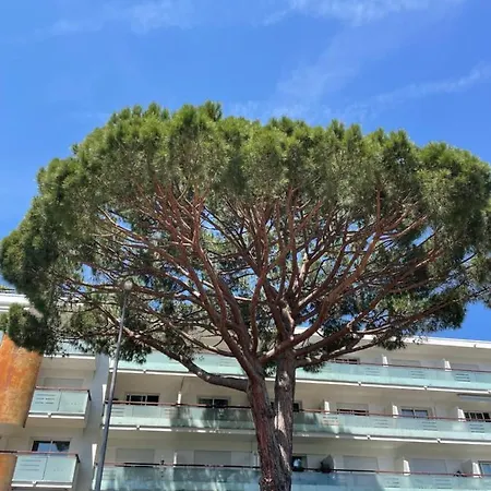 Le Capri - Wifi Californie *